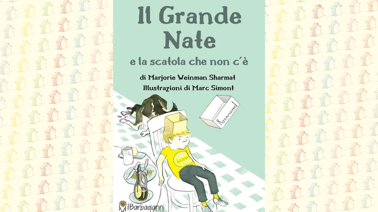 Il-grande-Nate-e-la-scatola-che-non-ce